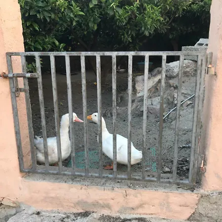 La Tanchitta Apartmán Badesi