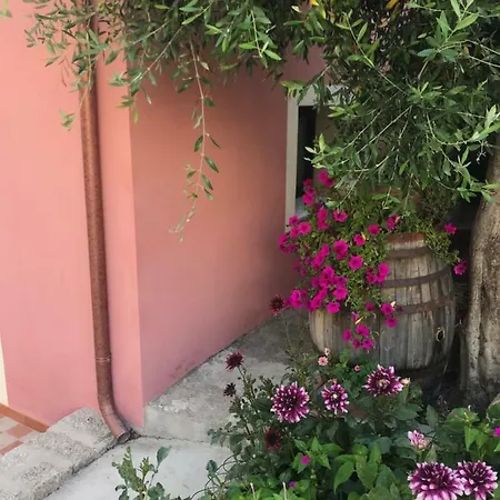 La Tanchitta *